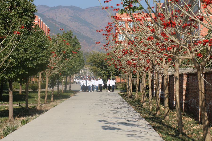 1522206234370414.jpg 學校校園環境4 (1)_副本.jpg