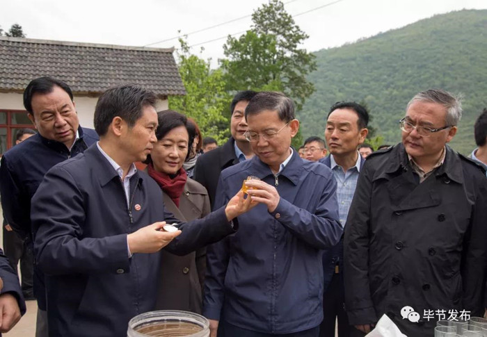 1524791399167198.jpg 郝明金在黔西縣花溪鄉鐘山村養蜂項目集中養殖點調研.jpg